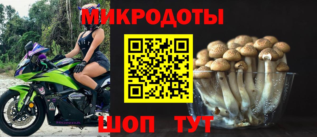 Псилоцибиновые грибы Psilocybe Ртищево