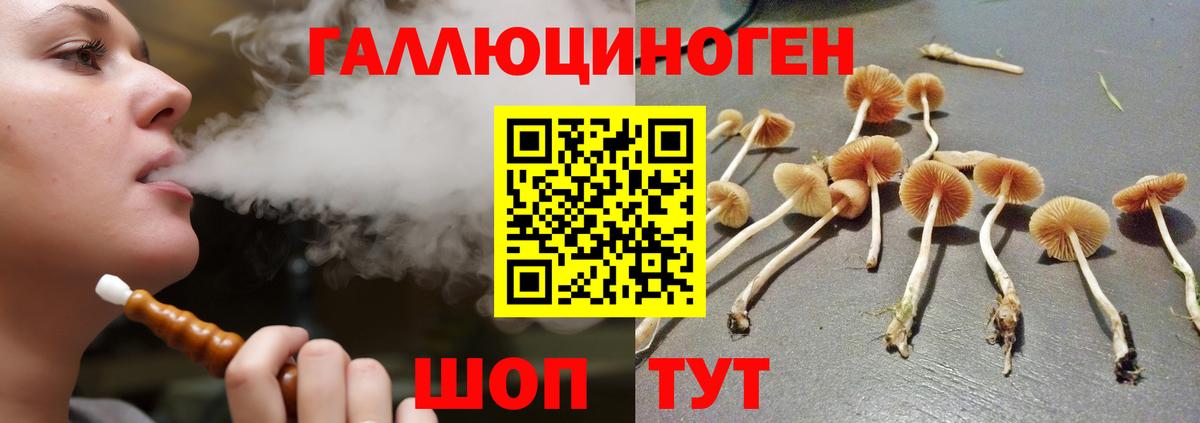 Галлюциногенные грибы прущие грибы  Вход с VPN  купить  цена  Ртищево  Псилоцибиновые грибы Psilocybe 